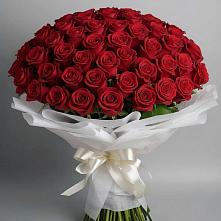 Букет 101 Красная роза Блэк Мэджик в Болгаре