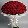 Букет 101 Красная роза Блэк Мэджик в Болгаре