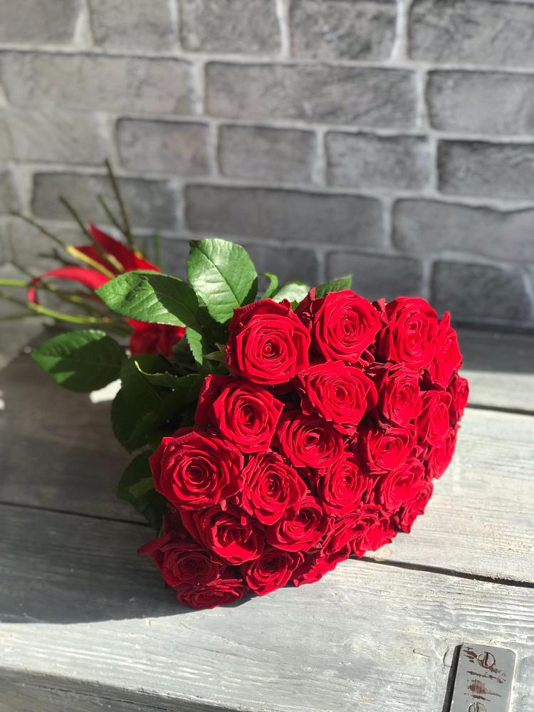 Букет Красные розы Фридом в Болгаре