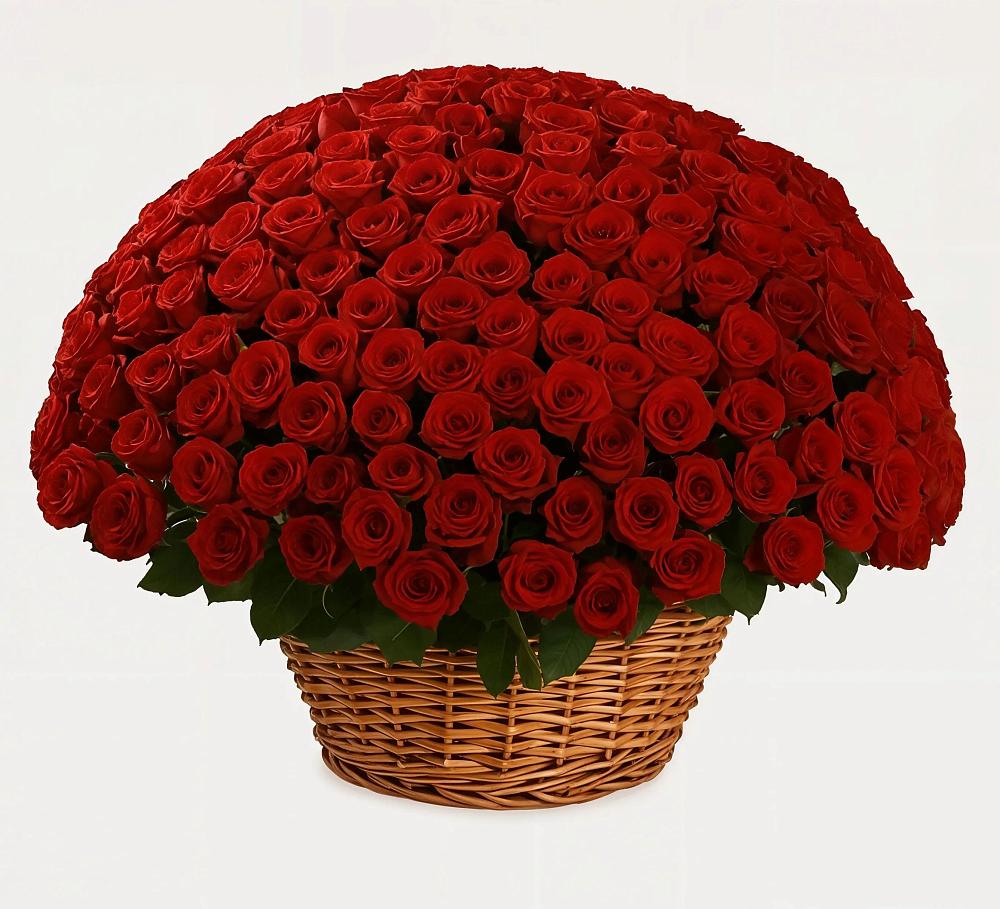 Премиум букет из: Розы в Болгаре