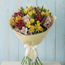 Букет цветов из:  Альстромерии в Болгаре