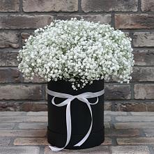 Цветочная композиция из Гипсофила в шляпной коробке в Болгаре