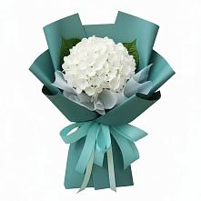 Букет цветов из:  Гортензия в Болгаре